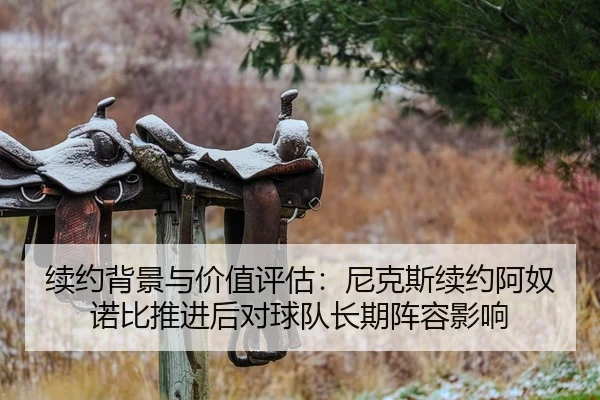 续约背景与价值评估：尼克斯续约阿奴诺比推进后对球队长期阵容影响
